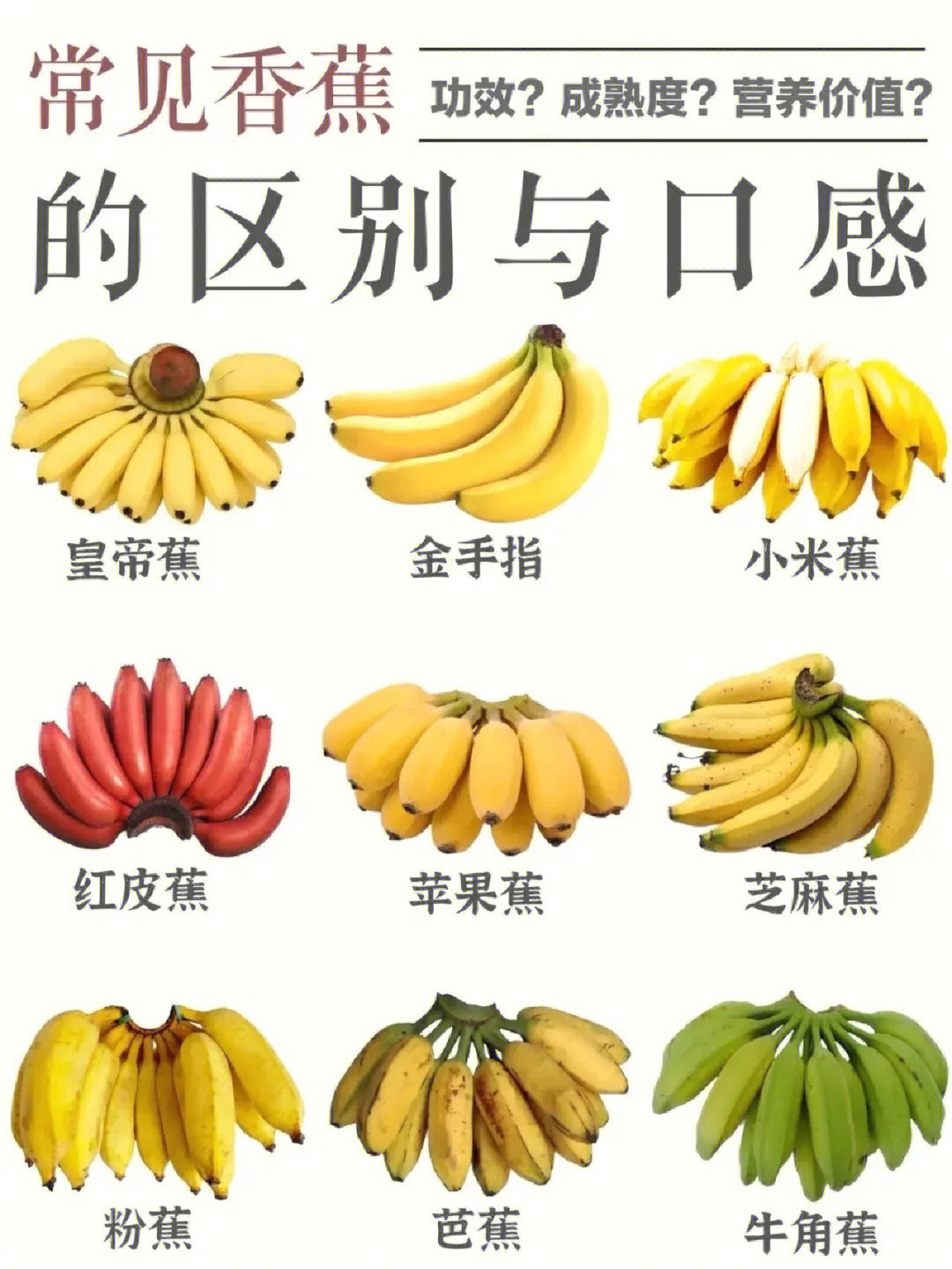 常见品种
