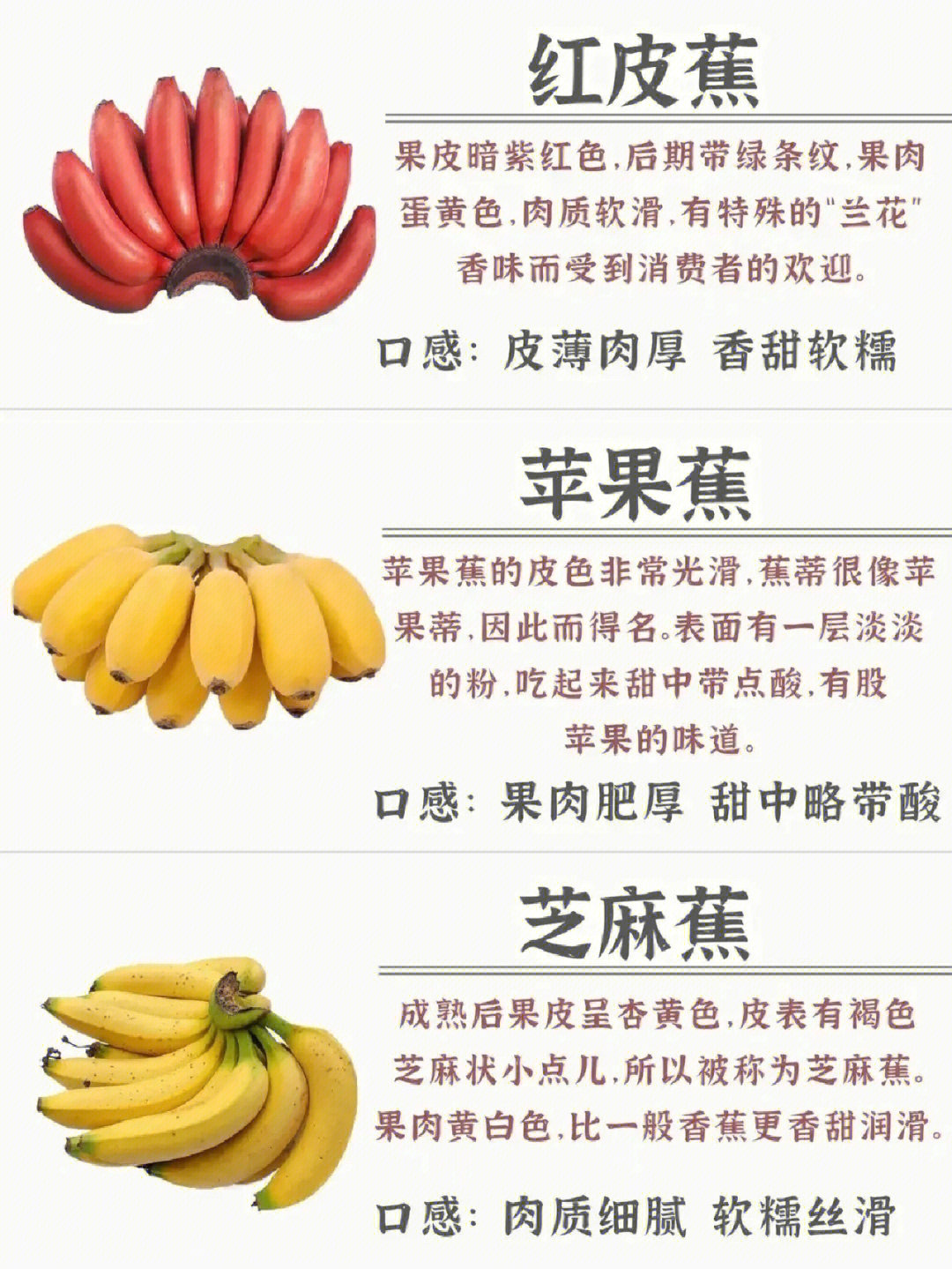 红皮苹果蕉