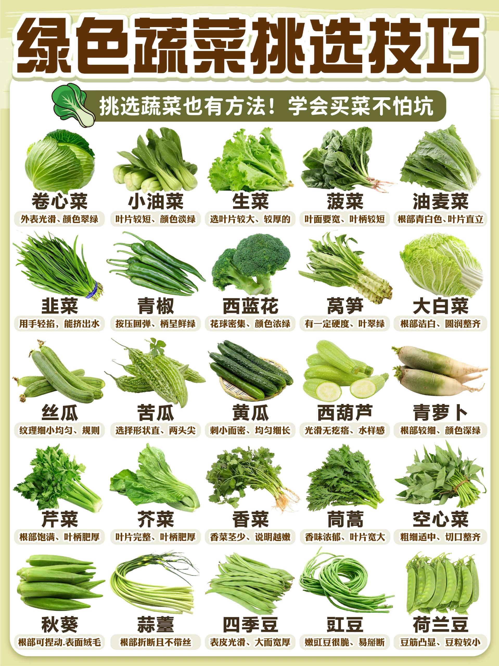 蔬菜图鉴