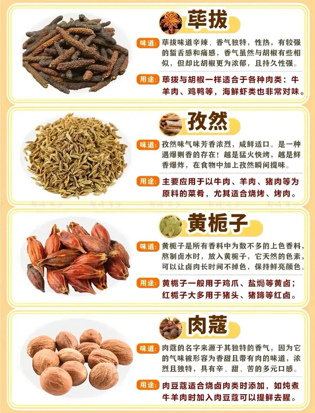 孜然、肉蔻、荜茇 孜然、肉蔻、荜茇